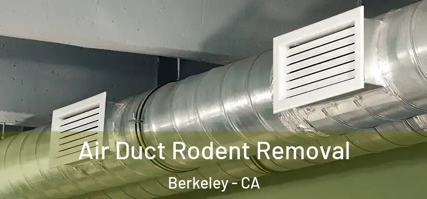 Air Duct Rodent Removal Berkeley - CA