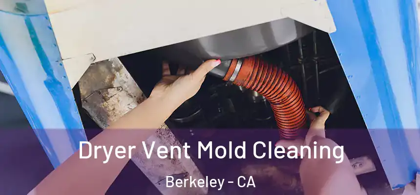 Dryer Vent Mold Cleaning Berkeley - CA