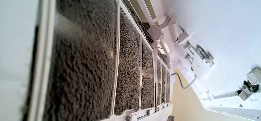 Preventive Air Duct Bacteria Removal in Berkeley