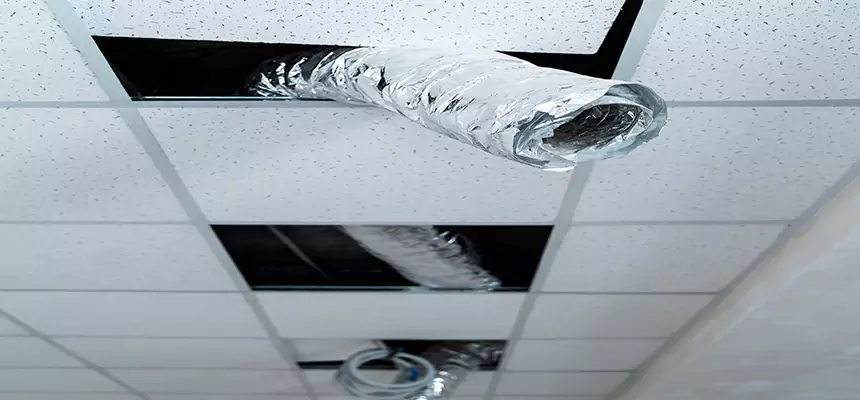 Affordable HVAC Sanitizing After Pest Removal in Berkeley