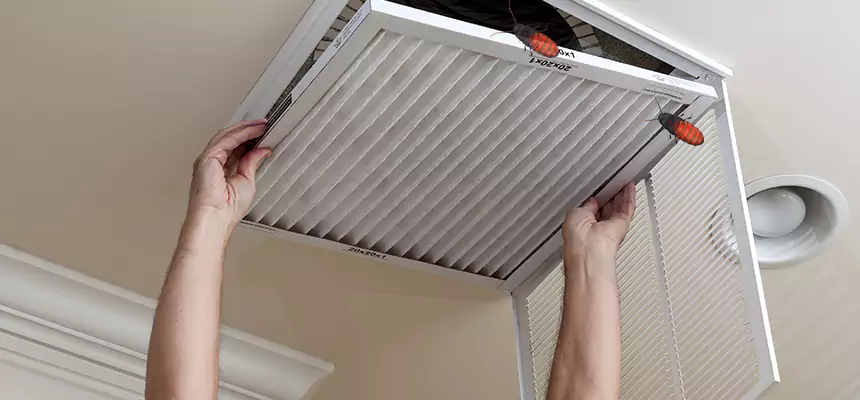 Our Insect Removal from Air Ducts Services in Berkeley, CA