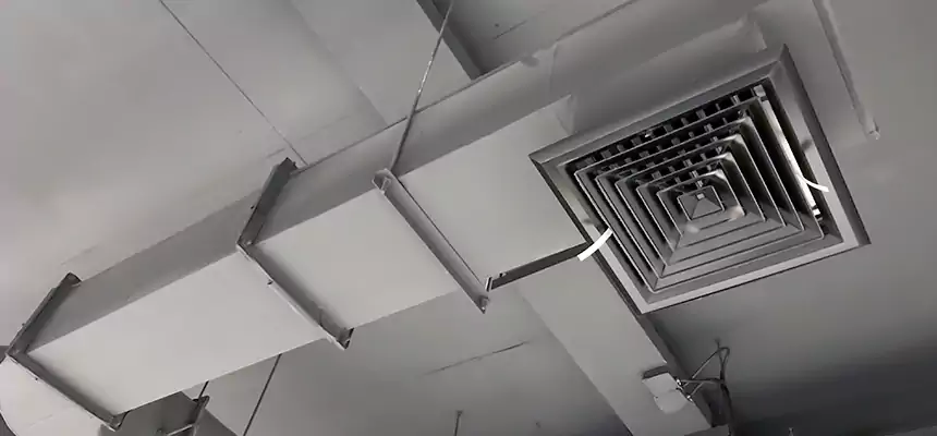 Our Pest Removal From Ducts Services in Berkeley, CA