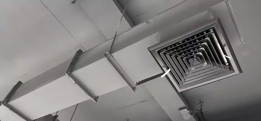 Our Rodent Droppings In Vents Services in Berkeley, CA