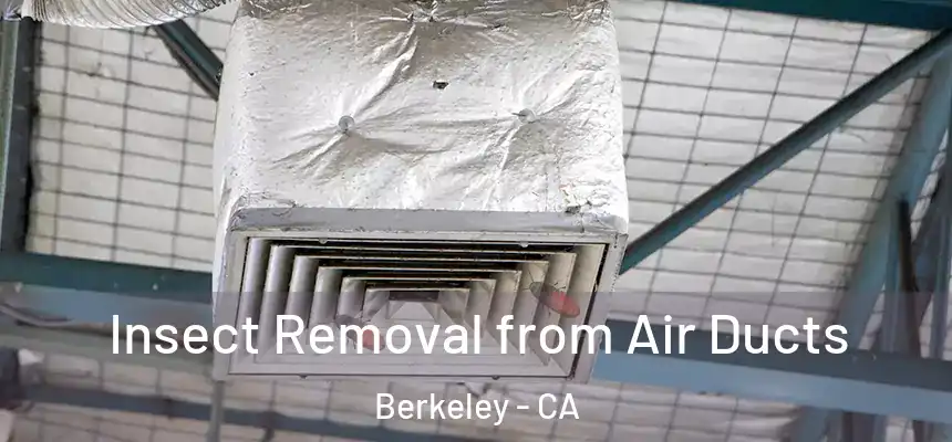 Insect Removal from Air Ducts Berkeley - CA