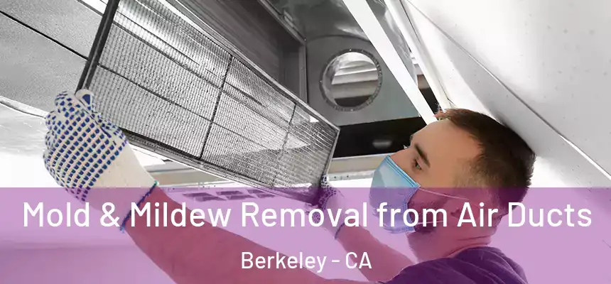  Mold & Mildew Removal from Air Ducts Berkeley - CA