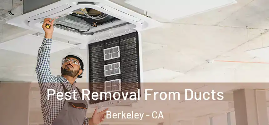 Pest Removal From Ducts Berkeley - CA