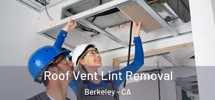 Roof Vent Lint Removal Berkeley - CA