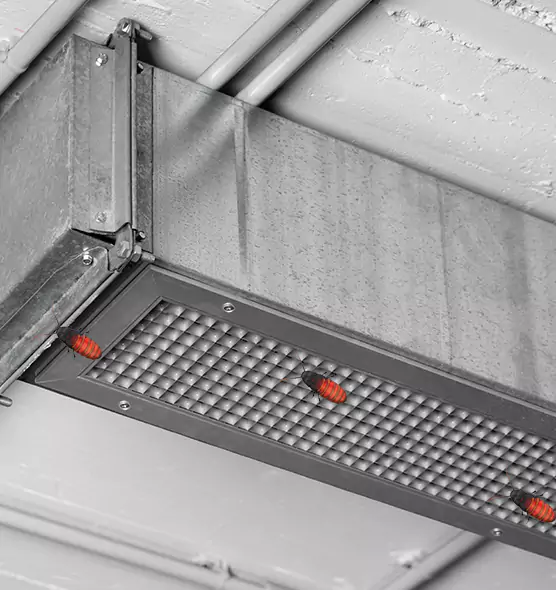 About Air Duct Cockroach Removal in Berkeley, CA