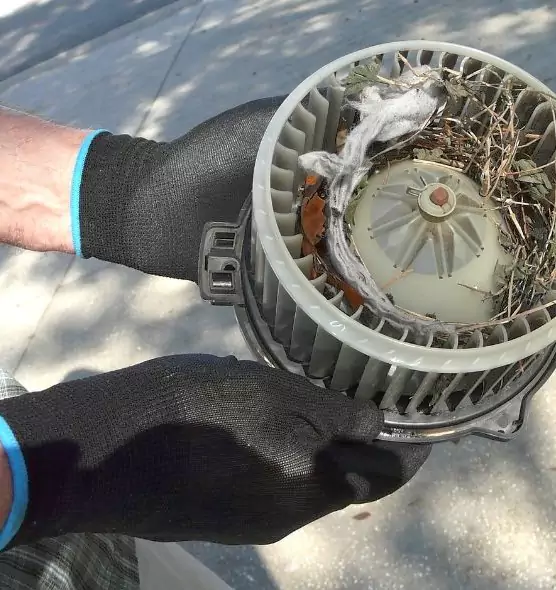 About Air Duct Rat Removal in Berkeley, CA