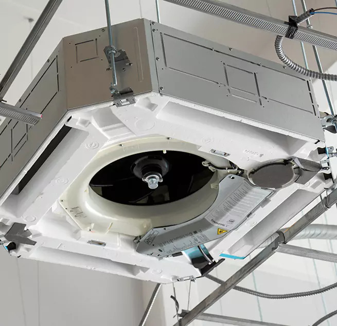 Why Homeowners & Businesses Trust Us in Berkeley, CA?