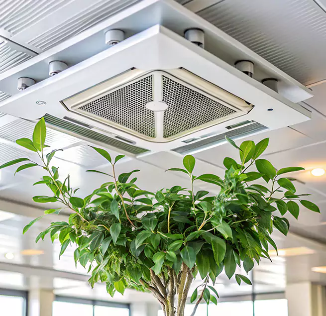 Why Homeowners & Businesses Trust Us in Berkeley, CA