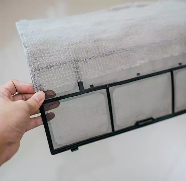 Why Homeowners & Businesses Trust Us in Berkeley, CA?