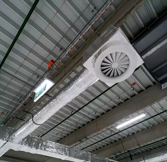 Why Homeowners & Businesses Trust Us in Berkeley, CA