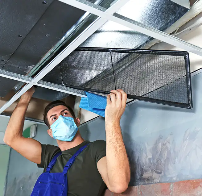 Why Homeowners & Businesses Trust Us in Berkeley, CA?