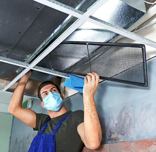 Why Homeowners Businesses Trust Us in Berkeley, CA?